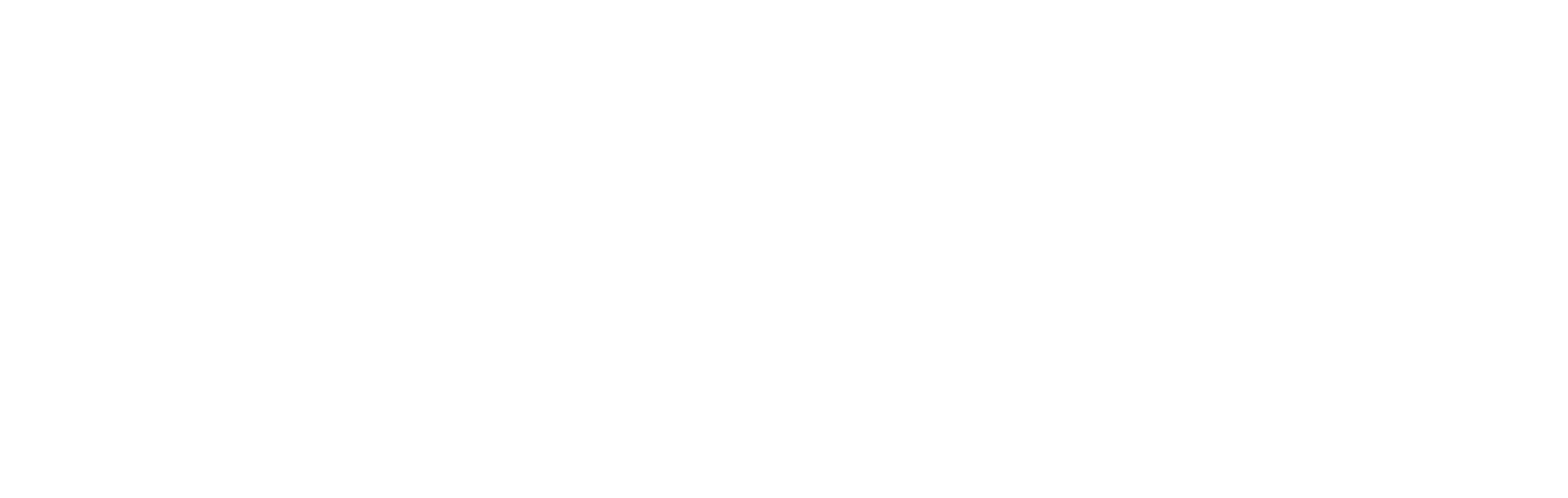 logo G+D